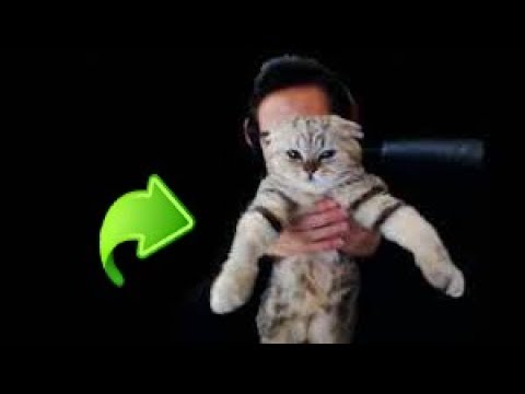 HAZRETİ YASUO'NUN YENİ KEDİSİNE ''KAFA DANSI'' ÖĞRETİYOR !!
