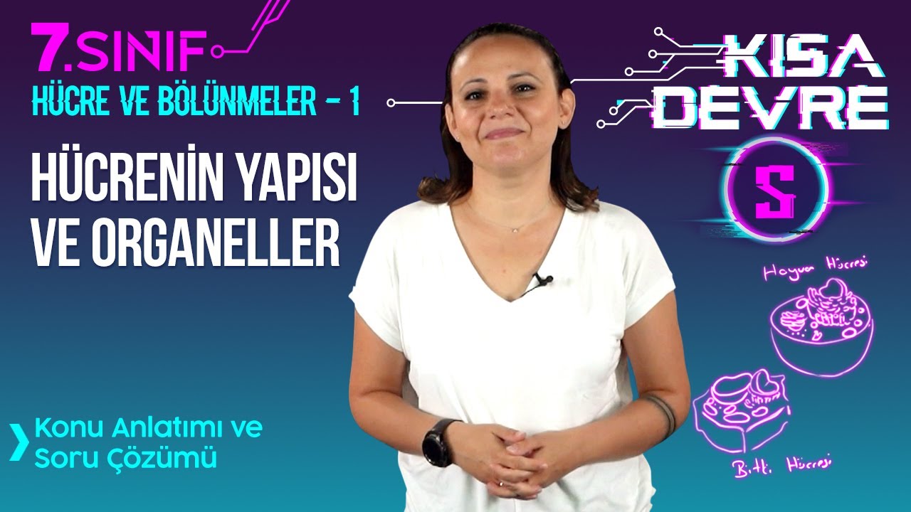 Hücre ve Bölünmeler: Organeller, Hayvan ve Bitki Hücresi Farkları, Hücrenin Yapısı | 7. Sınıf Fen #5
