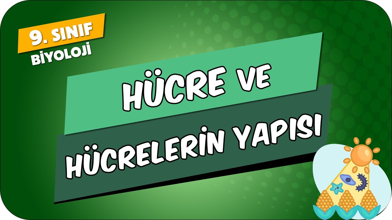 Hücre ve Hücrelerin Yapısı | 9.Sınıf Biyoloji #2024