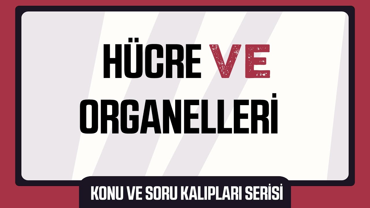 Hücre ve Organelleri (Konu ve Soru Kalıpları Serisi)