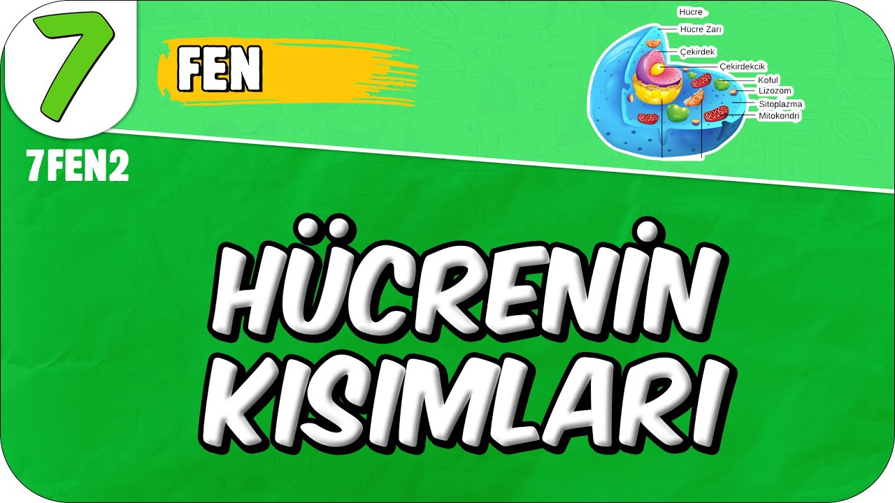 Hücrenin Kısımları ve Geçmişten Günümüze Hücre 📗 7FEN2 #2025