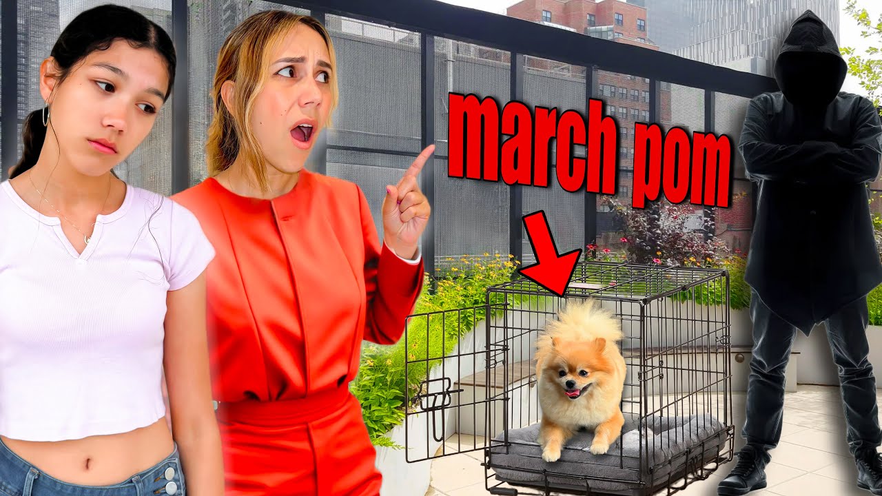 HE HAS OUR MISSING PUPPY MARCH POM!!? | Familia Diamond
