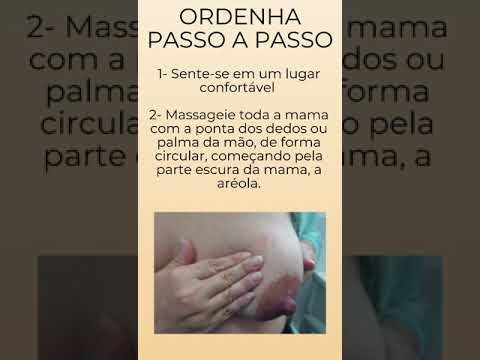 HE UFPel   Ordenha leite materno