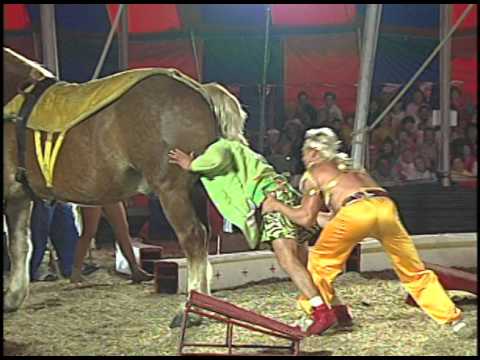 Head up Horse's Ass