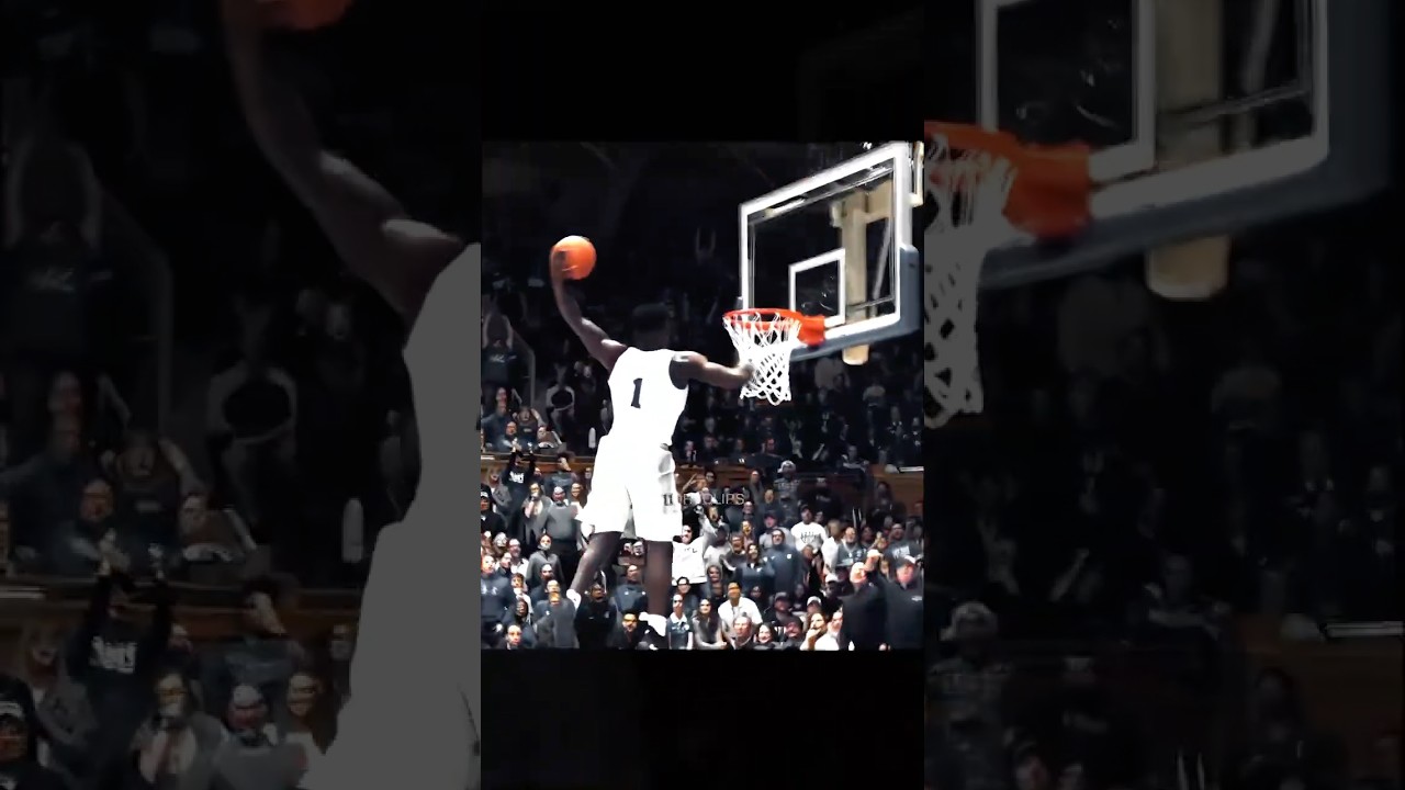Healthy Zion is just DIFFERENT 😱