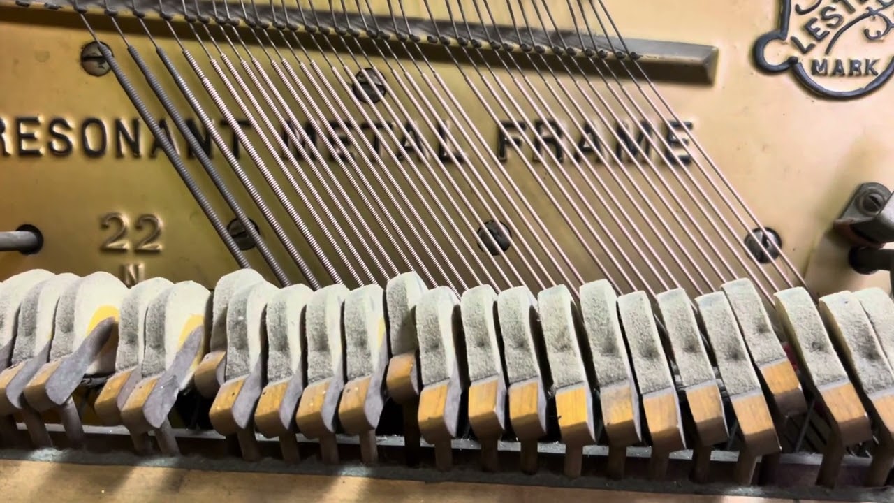 Hear Piano Note B Flat 1 | Very Flat