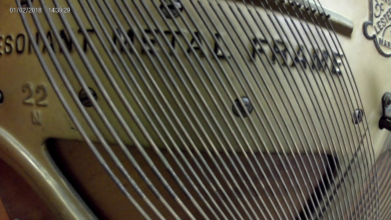 Hear Piano Note B flat 1