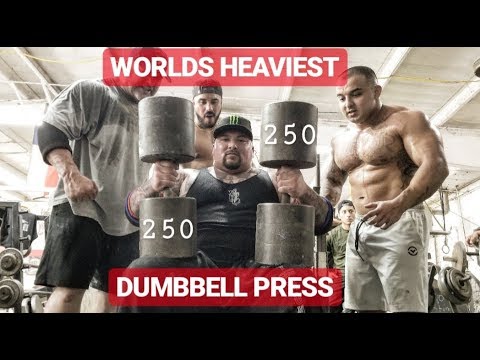 HEAVIEST DUMBBELL PRESS IN THE WORLD WITH RONNIE COLEMAN (250 POUNDS EACH)