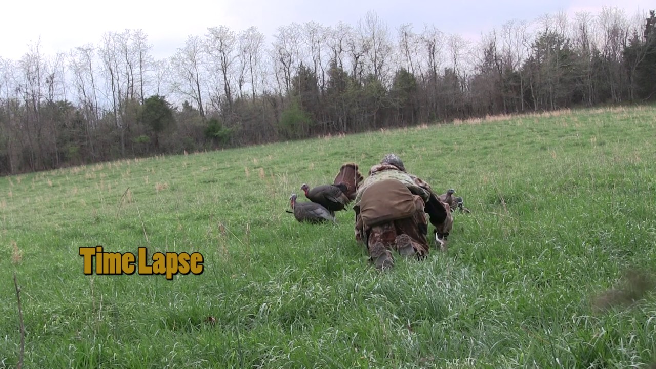 HECS in Action: hunter crawls up to turkey