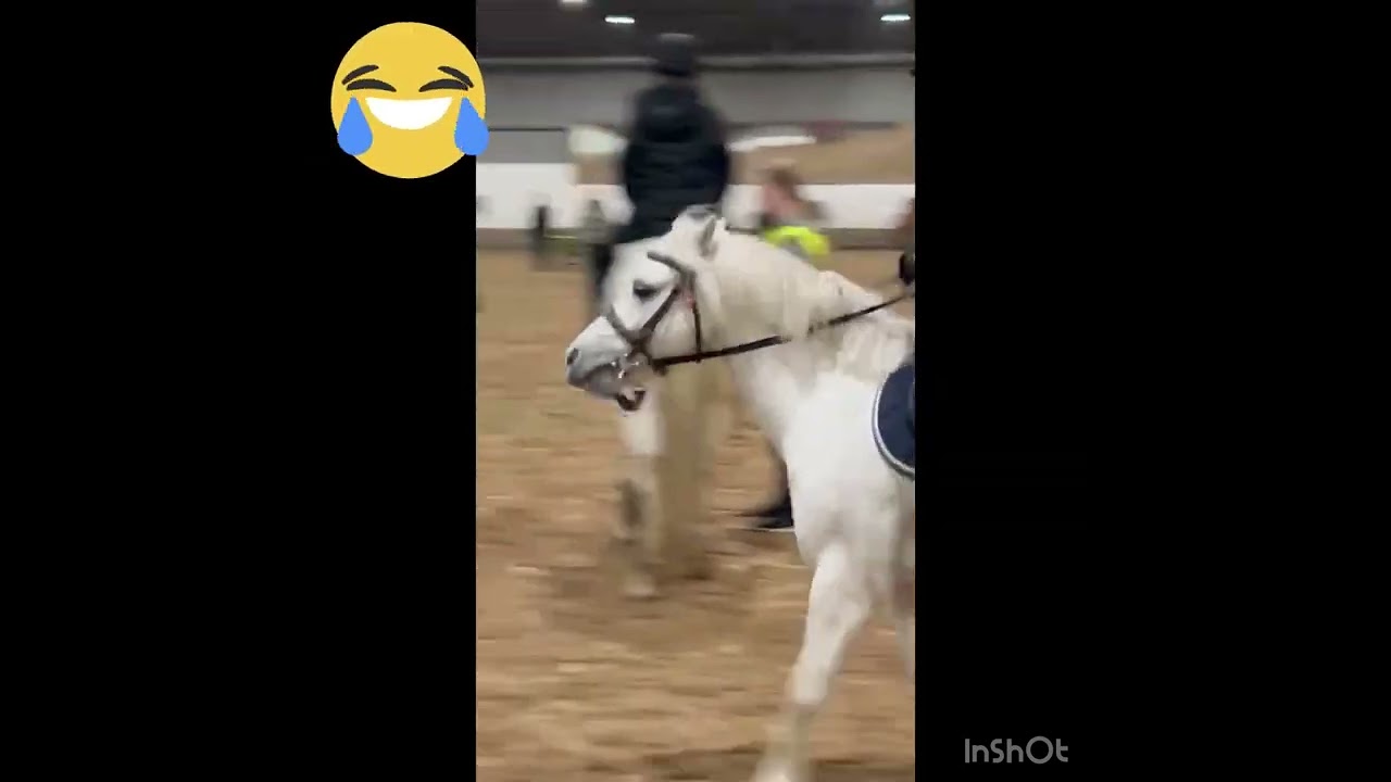 Hej är på min ridskola och rida en häst som heter Elliot!! Han busa lite🥰😅🐴🦄