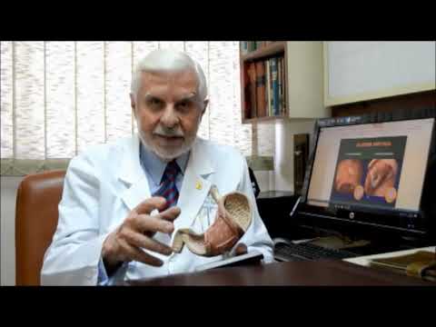 Helicobacter pylori ¿Cómo se transmite y cómo tratarla?