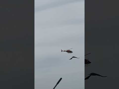 Helicopter and Craw Live Footage