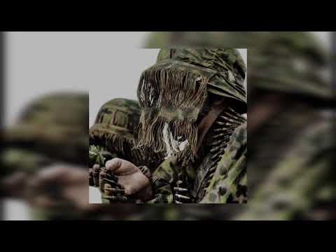 HENSONN - FEAR (slowed) x Austrian Painter