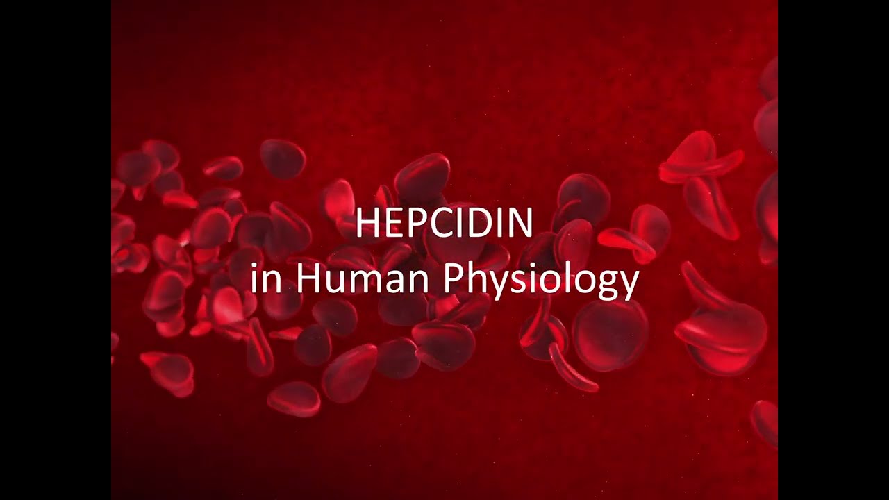 Hepcidin's Role in Diagnosing Anemia and other Iron Related Disorders