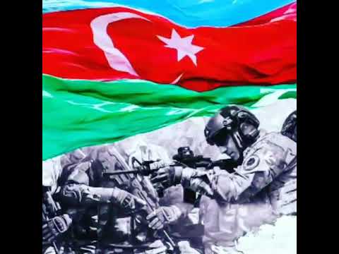 herkesin axtardigi gozel vetenperver seir
