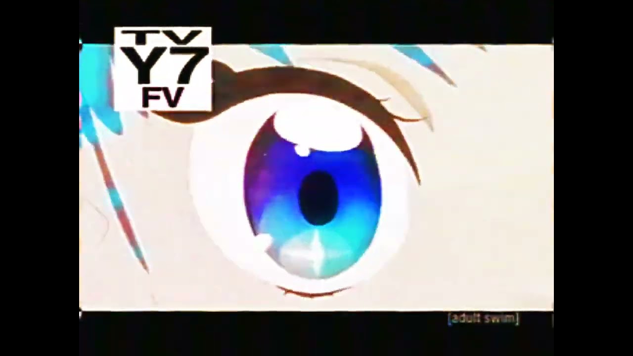HeroSky Glitter Force on Adult Swim, May 2007 (totally real and rare variant)