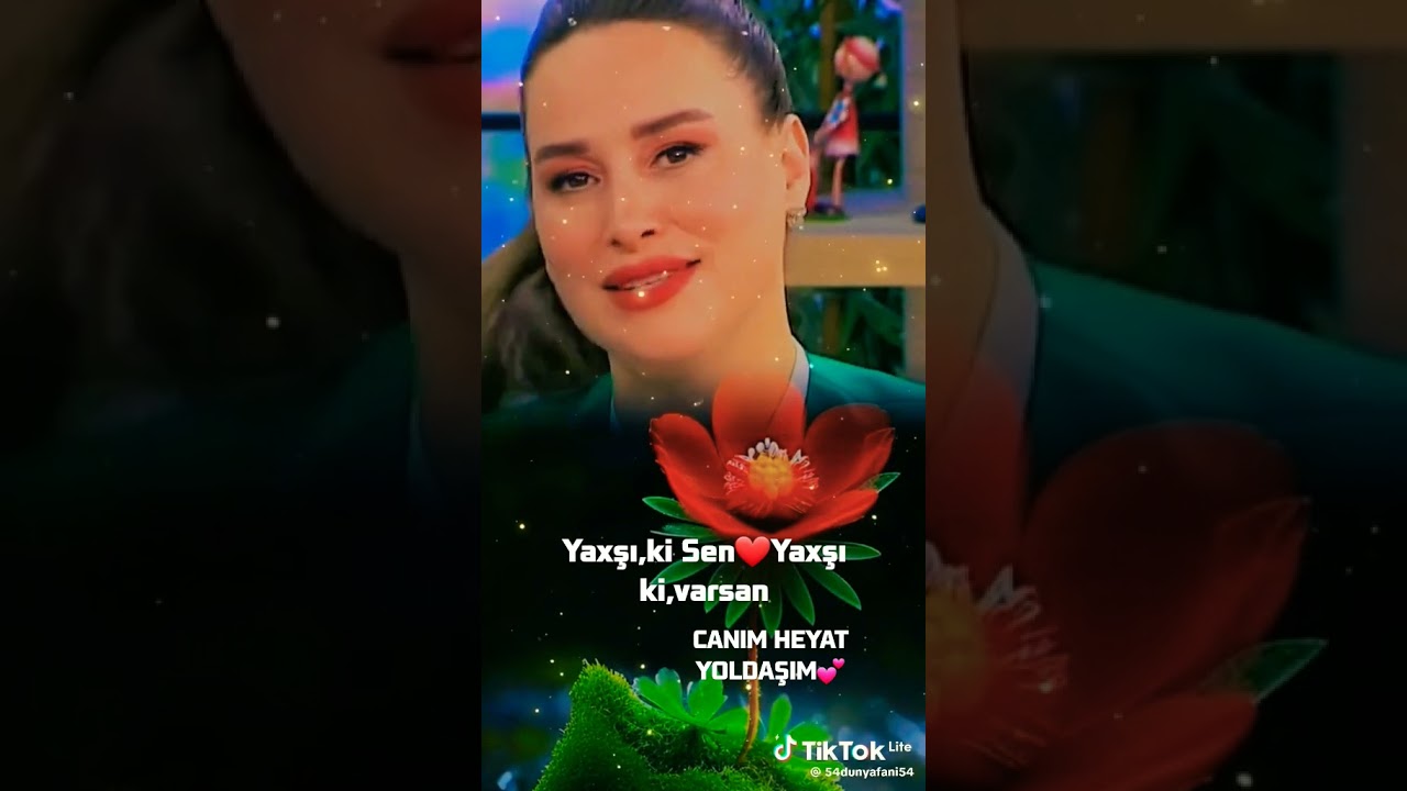 Heyat yoldaşı