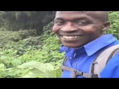 Hi / OKAY / MEME SOUND EFFECT 🇸🇽