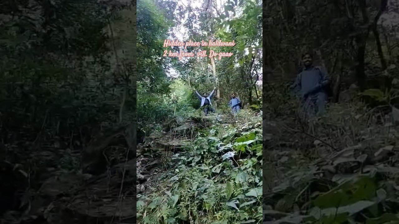 hidden waterfall in haldwani district 2 km away from village dogaao #travelvlog #travel #uttarakhand
