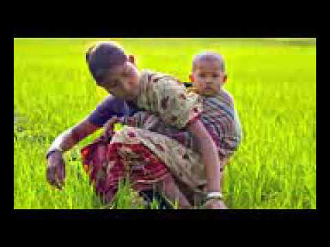 HiFiMov com bangladesh national anthem amar shonar bangla official hd hq with lyrics