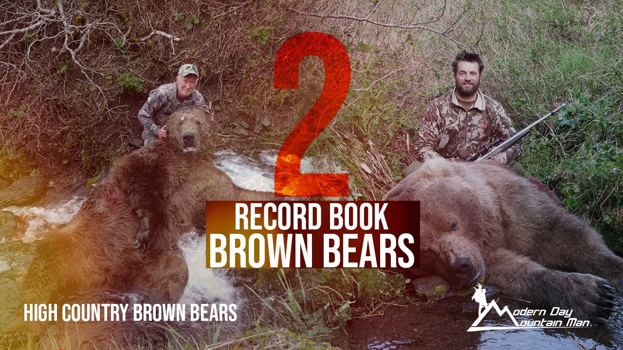 High Country Brown Bears, Alaska Brown Bear Hunting
