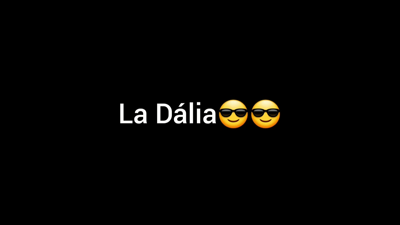 Hijo porqué no juegas con la Dália?