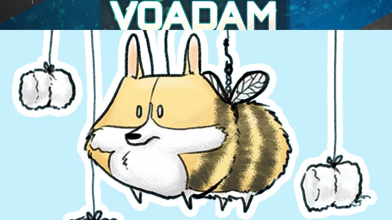 Hilariously Adorable Corgli the Corgi Comic Dubs Voiced by VOAdam