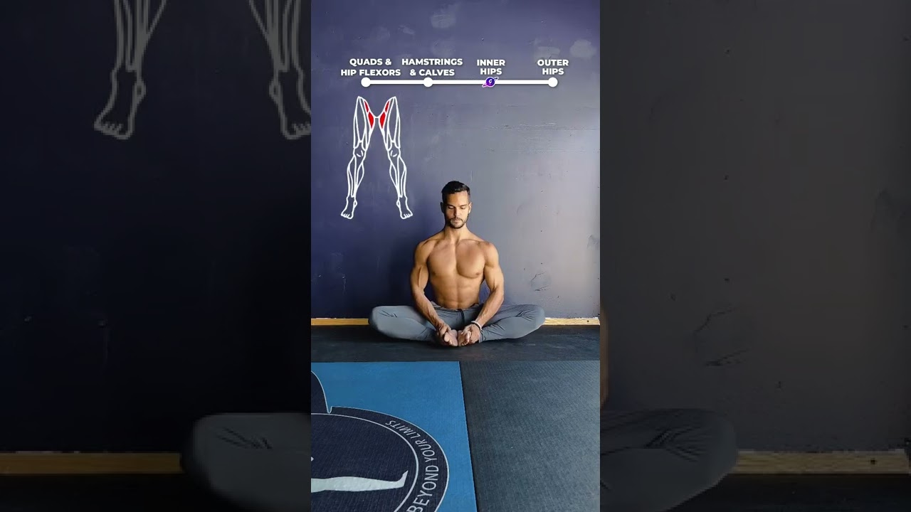 🪱Hip Mobility Flow!