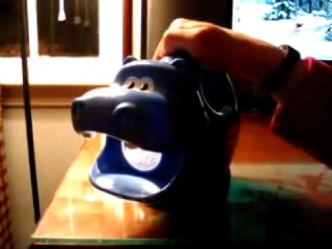 Hippo