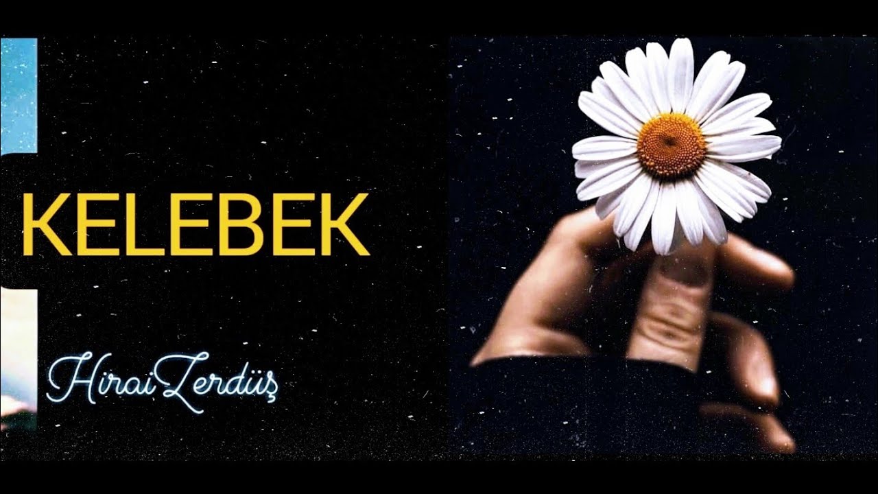 HiraiZerdüş  - Kelebek ömrü kadar