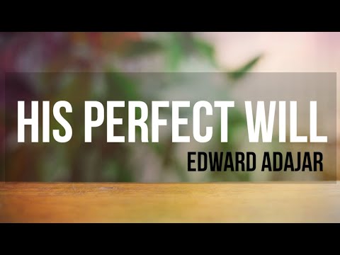 HIS PERFECT WILL |Edward Adajar | Lyrics Video