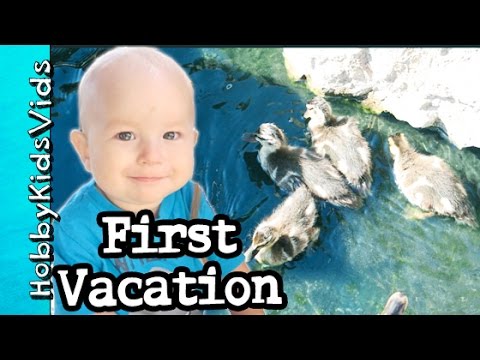 HobbyDino's First Vacation! Baby Ducks Plop + HobbyDino Play HobbyKidsVids