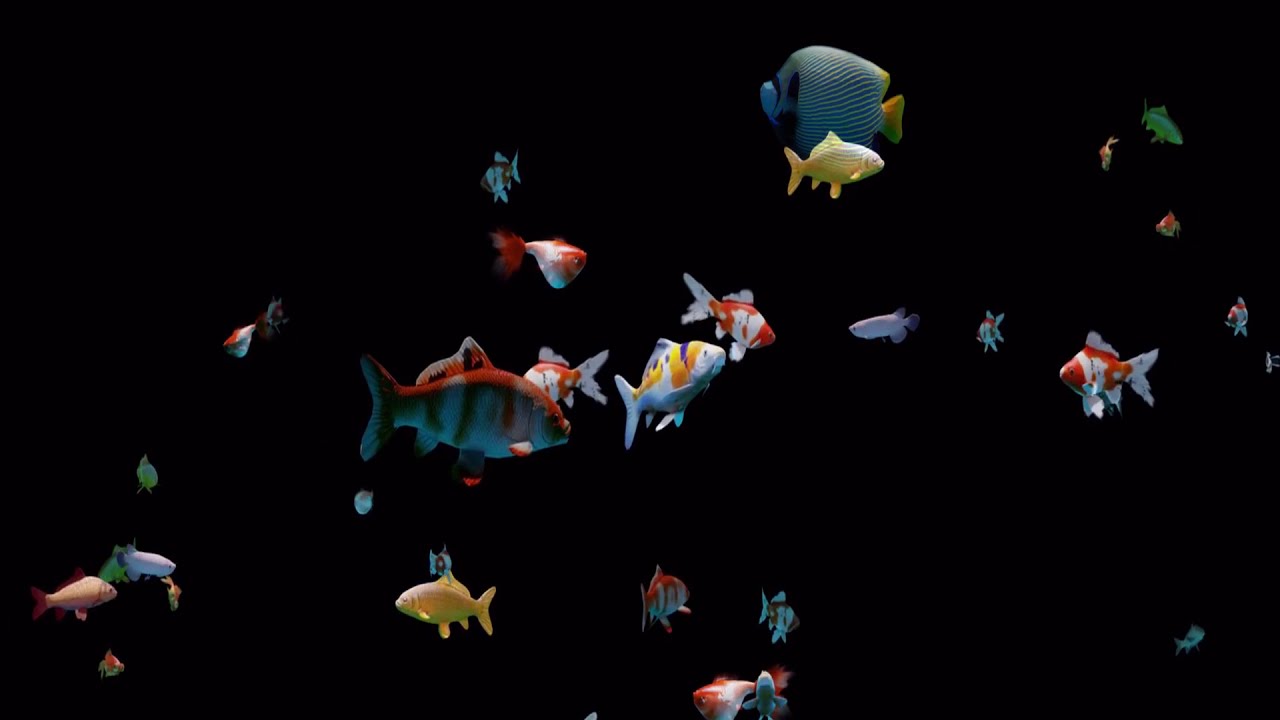 Hologram Fish by Dijor Hightech