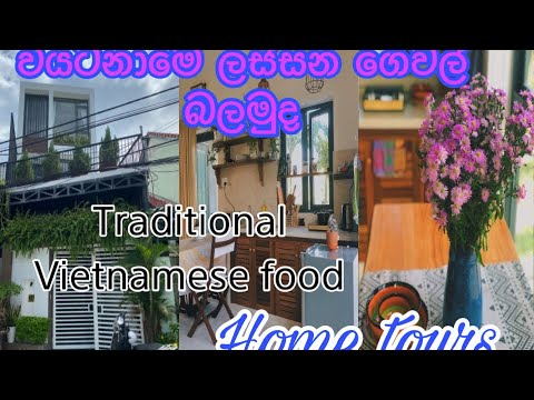 Home tour in Vietnam house/hoi an ancient city tour/ Vietnam street food/life in Vietnam/day vlog