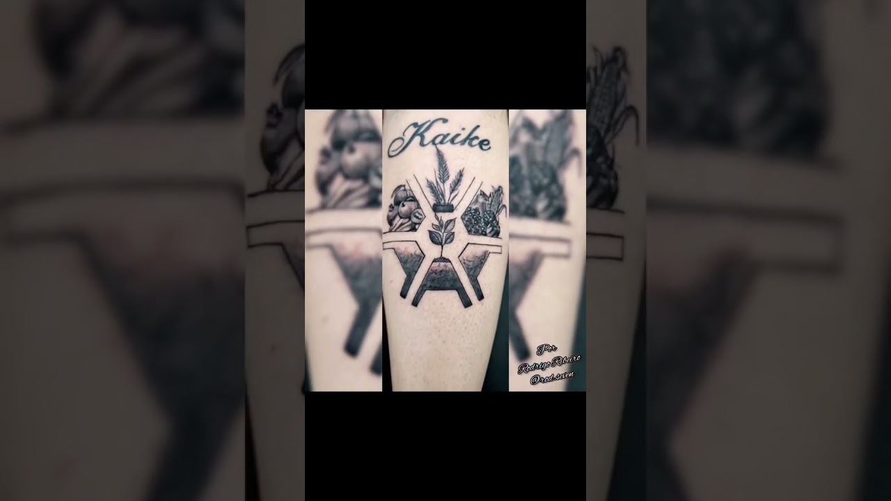 Homenagem a profissão que tanto Ama 🤩Agro é Pop !Agro é Top !Agro é 10 #blackandgreytattoo #agro