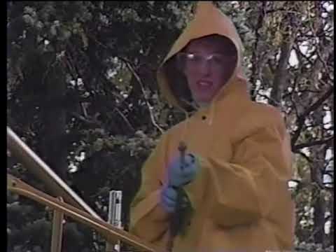 Hometime Intro (1987)