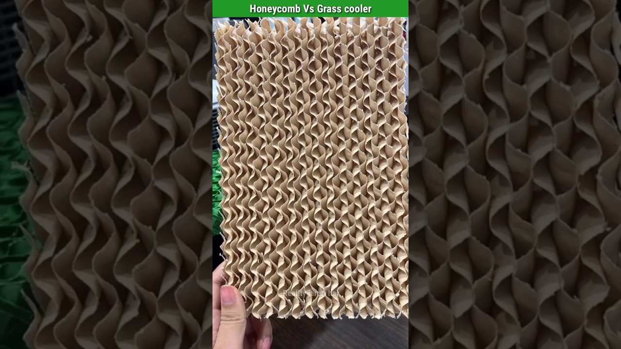 Honeycomb Vs Grass cooler कौन-सा अच्छा होता है🤔 || #shorts