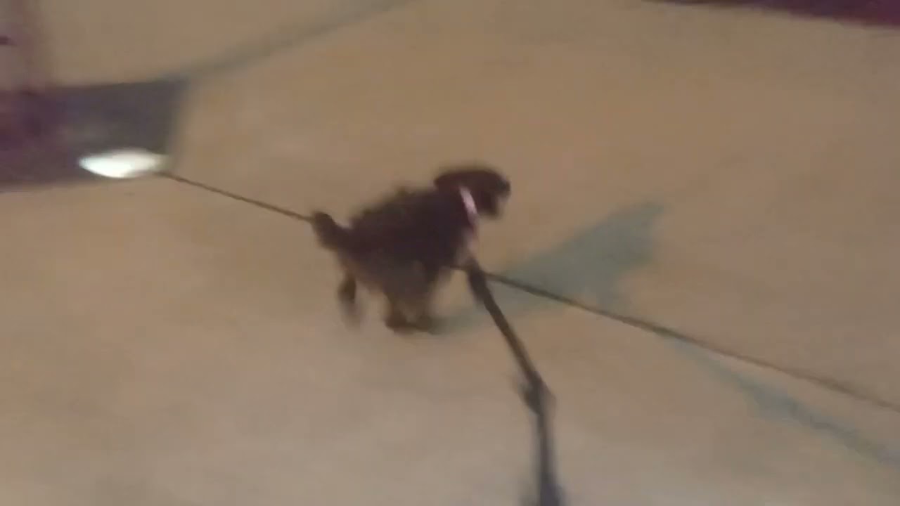 HOPE ( LITTLE LUNA )
