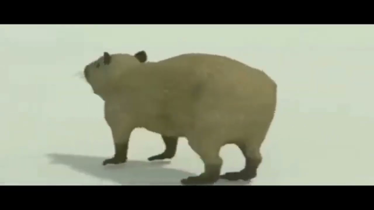 Horizontally spinning, funky town extra low quality capybara 1 hour #capybara