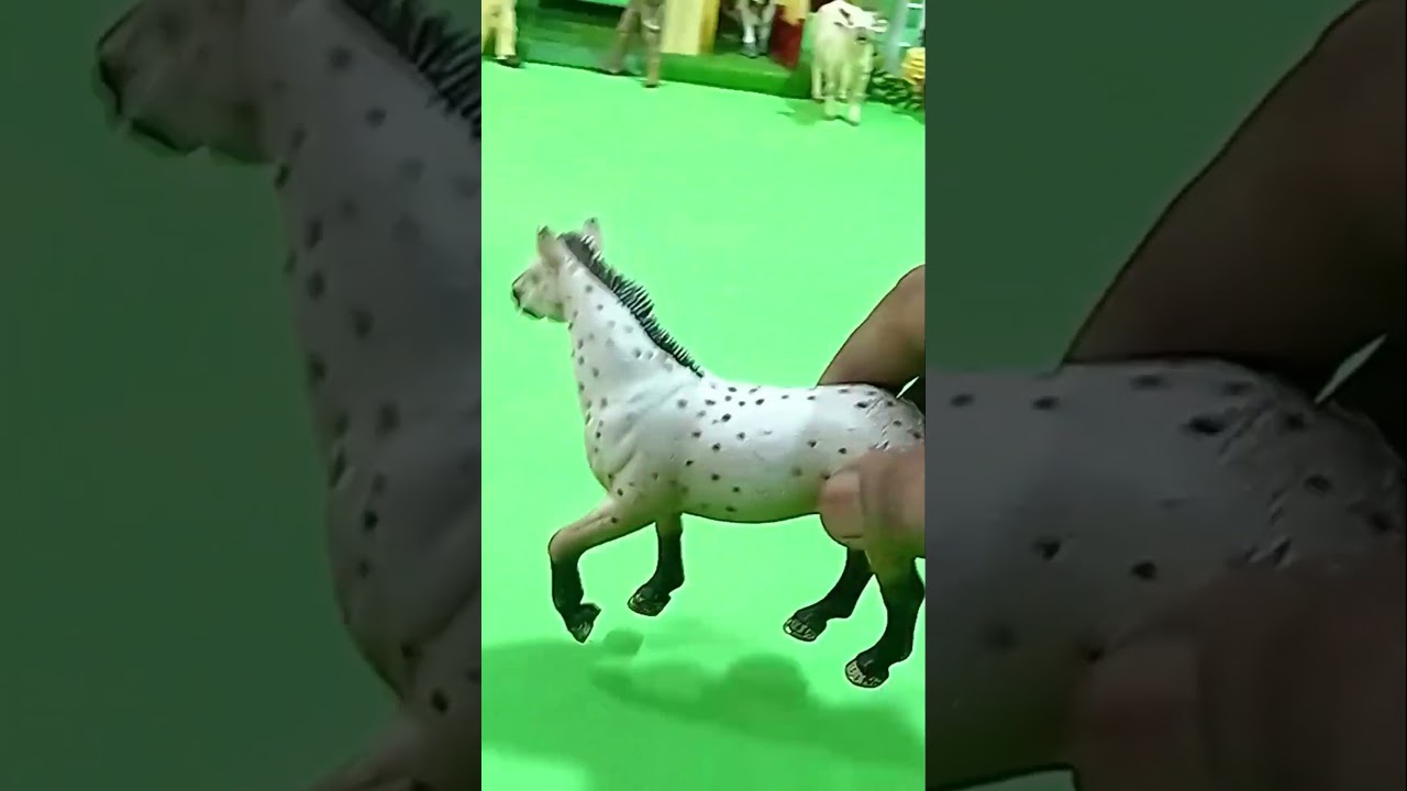 Horse Family at BabyTV Farm House    #animals #toys #toysforkids #shorts @Babytv.FarmHous