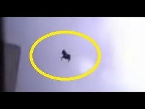 Horse flying Seen in Saudi Arabia Exclusive Video Full HD