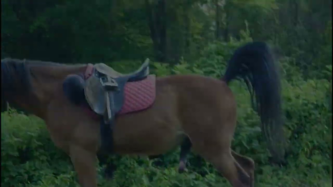 horse peeing compilation #1