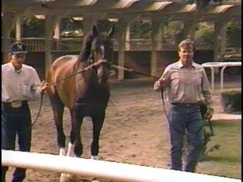 Horse Racing : Trainer Bill Mott