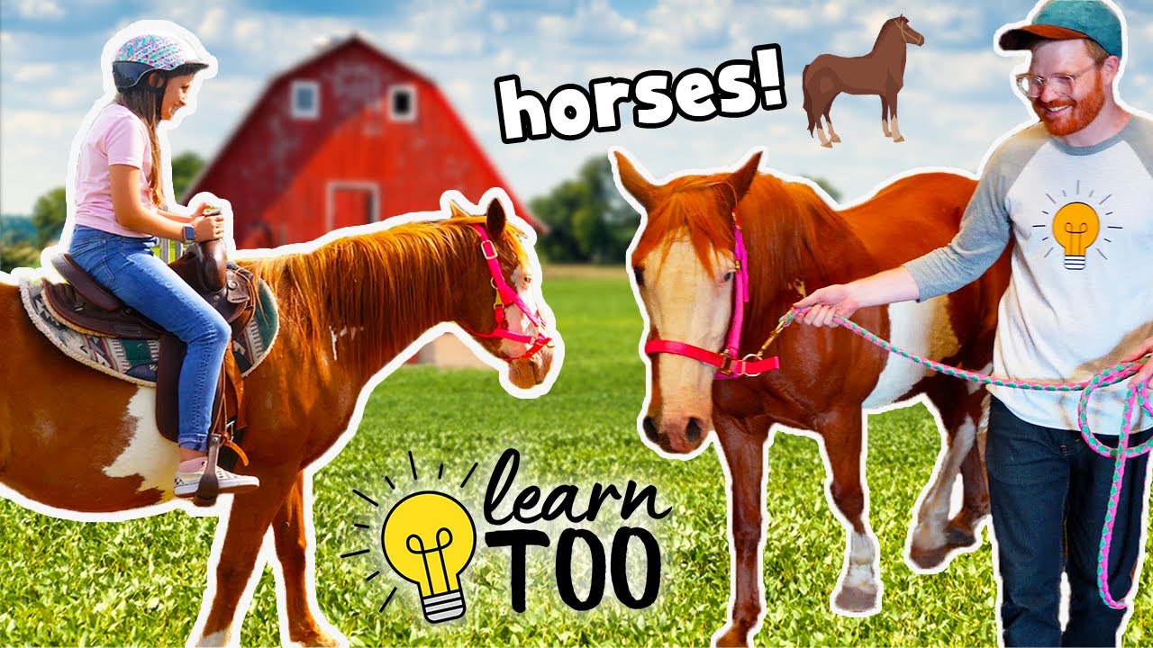 Horseback Riding 🐎 | Learn About Horses for Kids | Ride Horses on the Farm | Educational for Kids