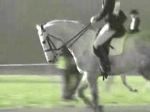 Horses- Easier to Run