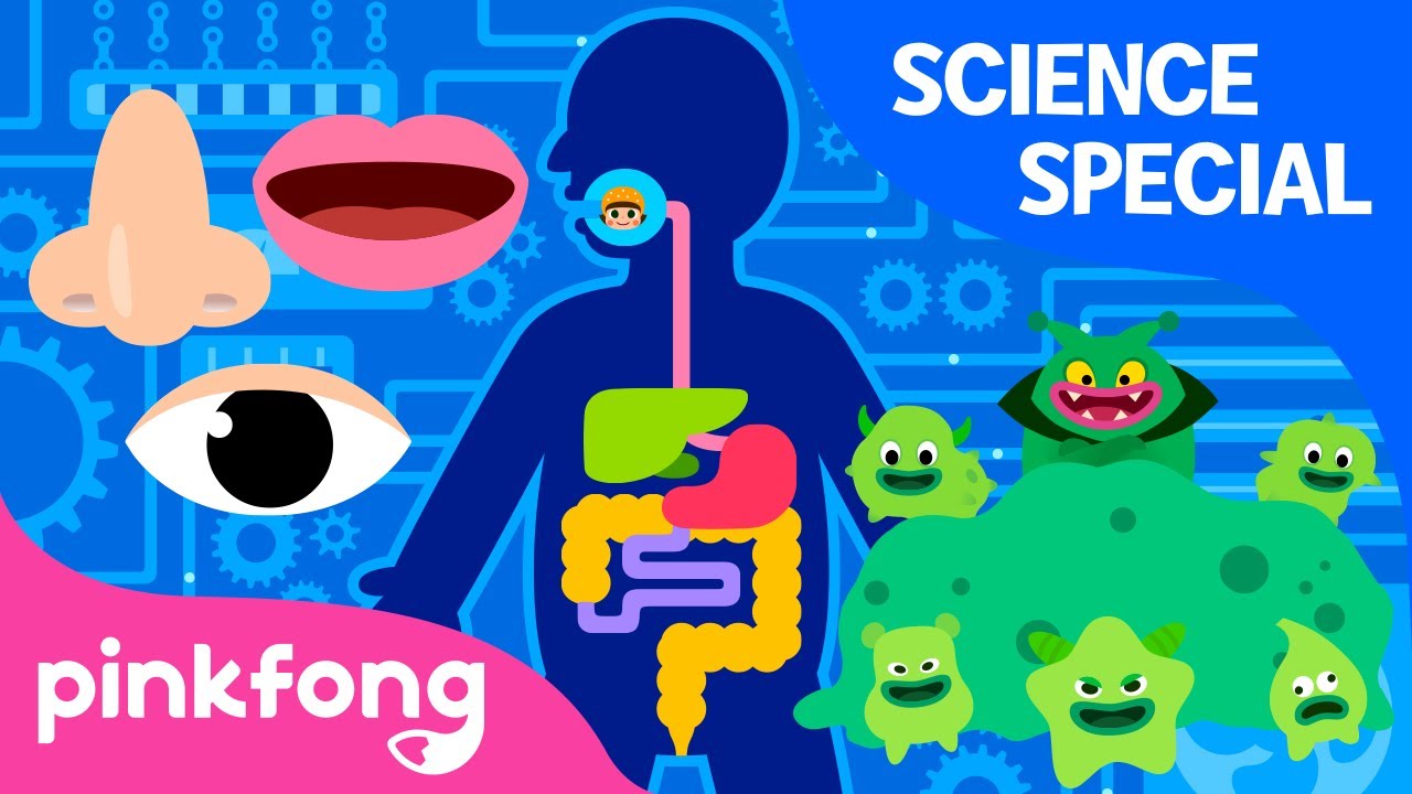 Hospital Play and more | +Compilation | Science Songs Special | Pinkfong Songs for Children