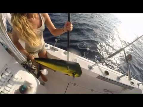 Hot Fishing Girl Gaffing a Mahi Offshore Florida