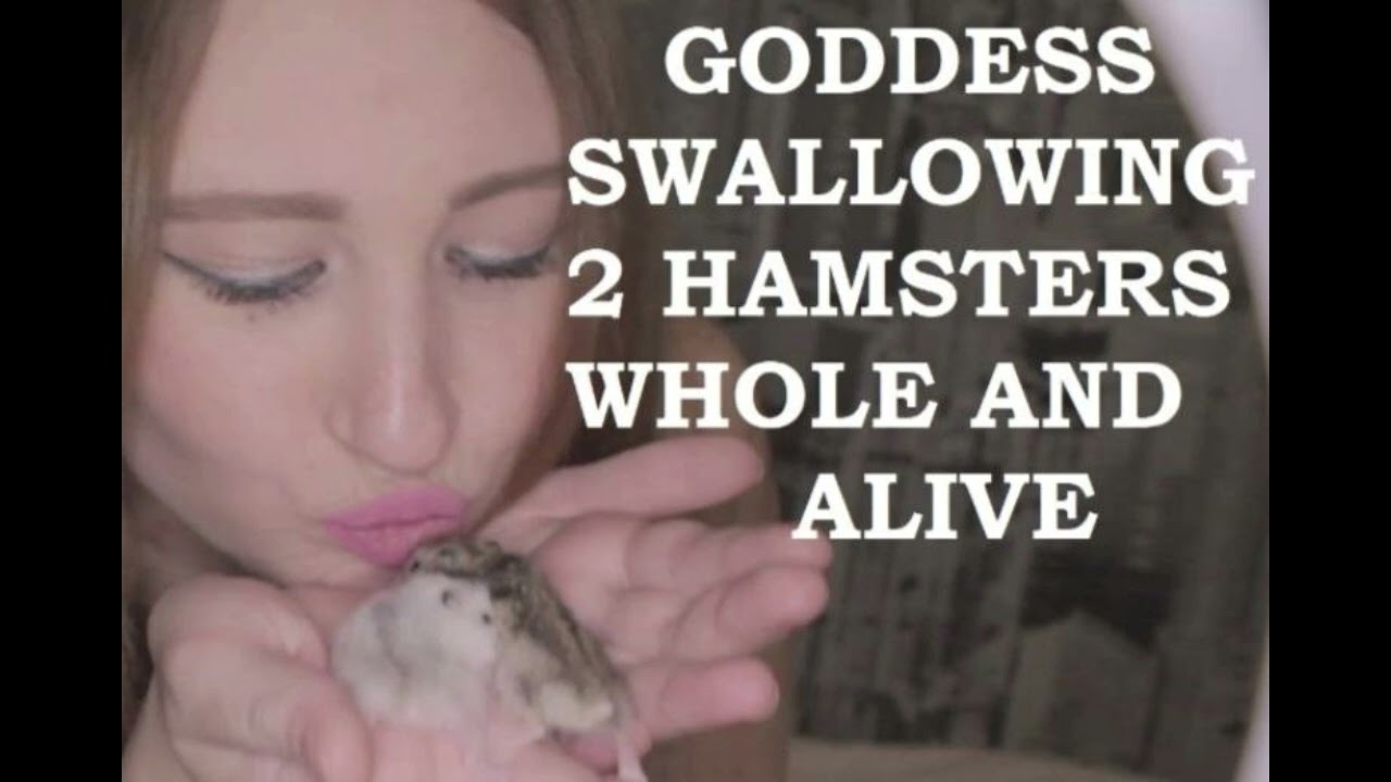 hot goddess hamsters vore ads