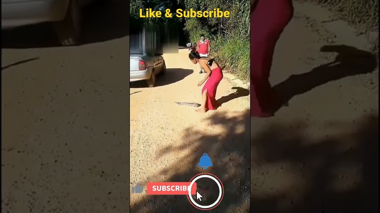 Hot Village Girl Caught Snake from road to clear traffic / Brave Girl