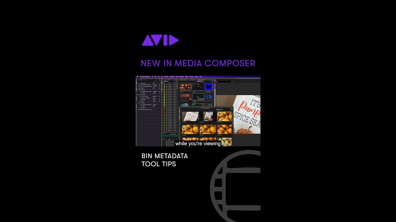 Hover over a media frame in your bin to easily view metadata in Media Composer